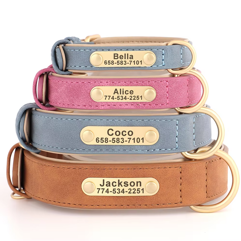 Dog Accessories, Collars, Harnesses & Leads