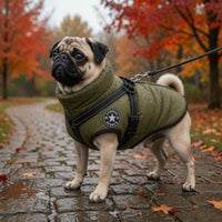 Waterproof Dog Jacket – Built-In Harness Ring | PuppyPaw™