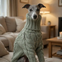 Dog Turtleneck Sweater – Warm Knit for Whippets | PuppyPaw™