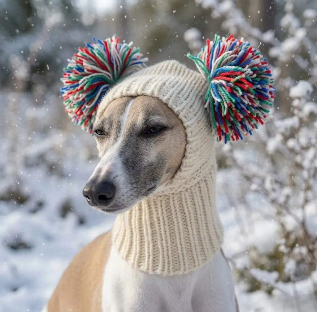 Winter Dog Hat – Elastic Wool for Whippets | PuppyPaw™