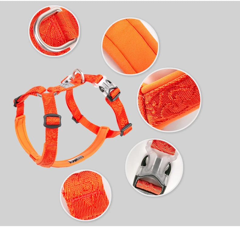 Trail Runner No-Pull Dog Harness – Neoprene Padded | PuppyPaw™