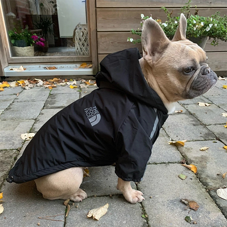 Tailored Fit For All Breeds