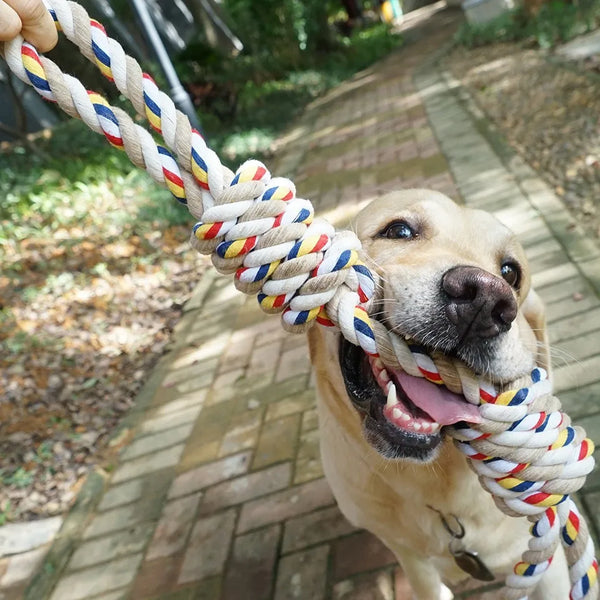 Dog Rope Knot Toy – Braided Polyester Chew | PuppyPaw™