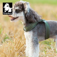 Step-In Dog Harness – Cooling Air-Mesh | PuppyPaw™