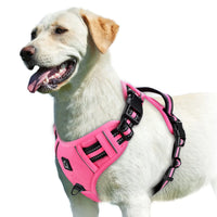 No-Pull Dog Vest Harness – Padded & Adjustable | PuppyPaw™