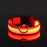 LED Glow-in-the-Dark Dog Collar & Leash | PuppyPaw™
