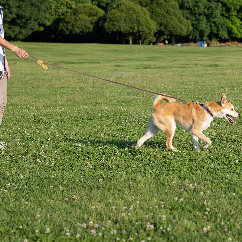Hands-Free Dog Leash – Waist Belt Running Lead | PuppyPaw™