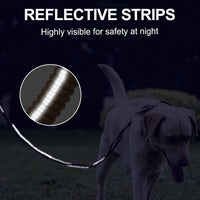 Heavy Duty Bungee Dog Leash – Double Handle | PuppyPaw™