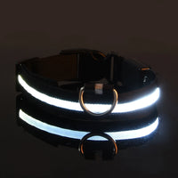 LED Glow-in-the-Dark Dog Collar & Leash | PuppyPaw™
