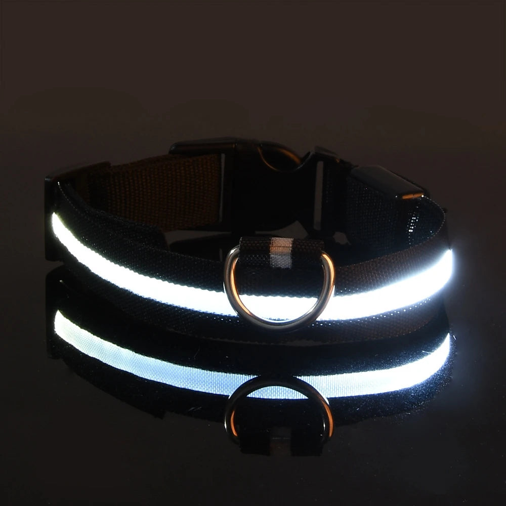 LED Glow-in-the-Dark Dog Collar & Leash | PuppyPaw™