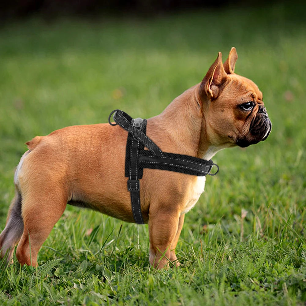 Padded Dog Harness Vest – Reflective Winter Warm | PuppyPaw™