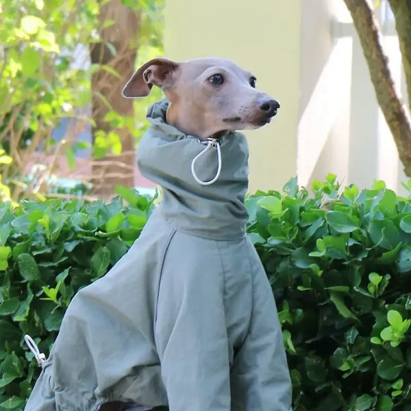 Dog Raincoat – Windproof Jacket for Whippets | PuppyPaw™