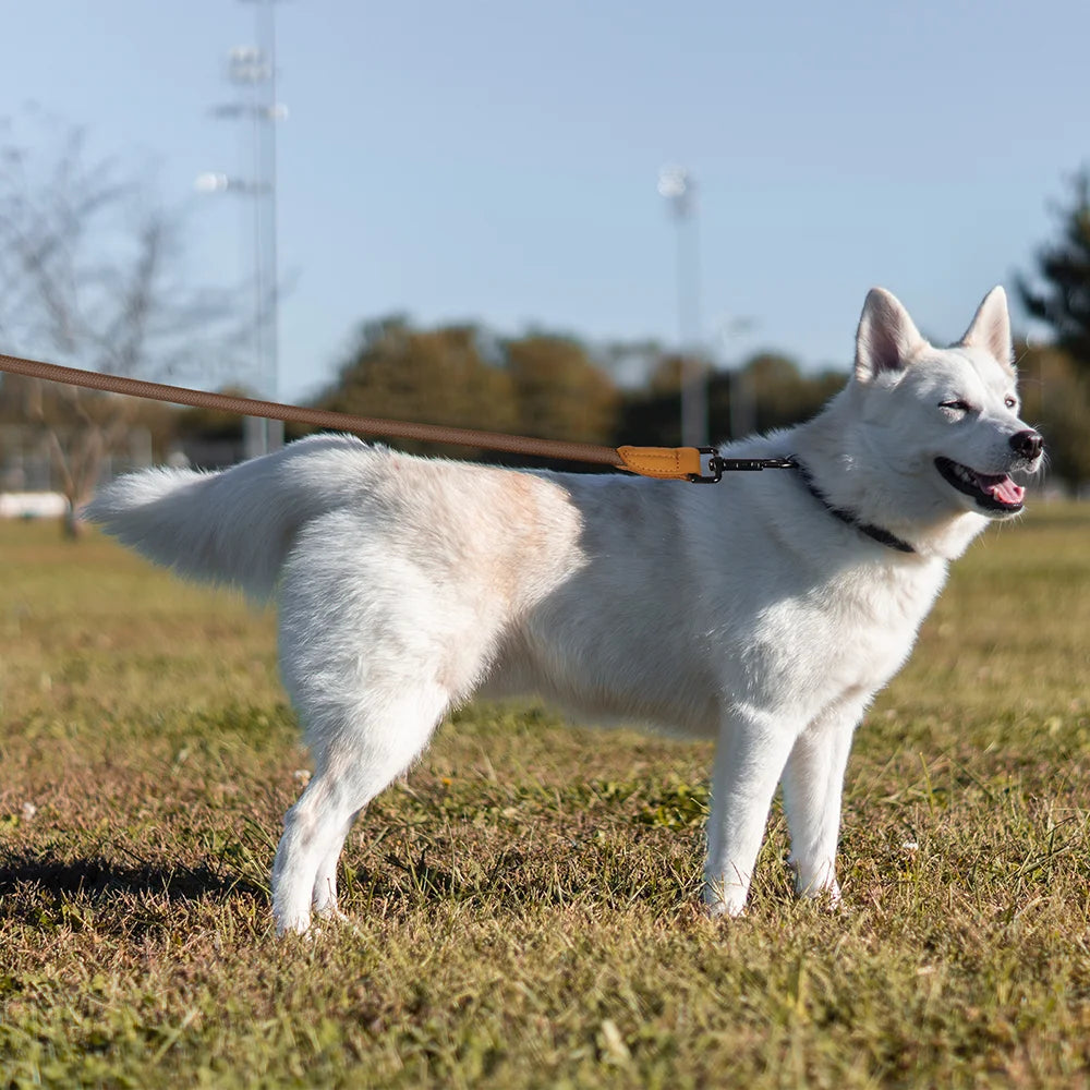 Hands-Free Dog Leash – Waist Belt Running Lead | PuppyPaw™