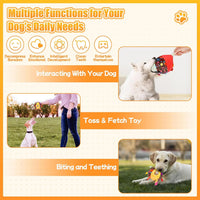 Soft Plush Dog Ball Toy – Bell & Label Chew | PuppyPaw™