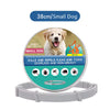 Anti-Flea & Tick Dog & Cat Collar – Silicone | PuppyPaw™