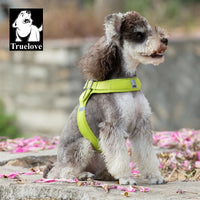 Step-In Dog Harness – Cooling Air-Mesh | PuppyPaw™