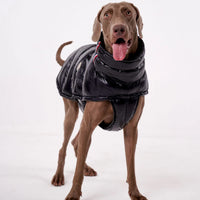 Padded Dog Down Jacket – Windproof High Collar | PuppyPaw™