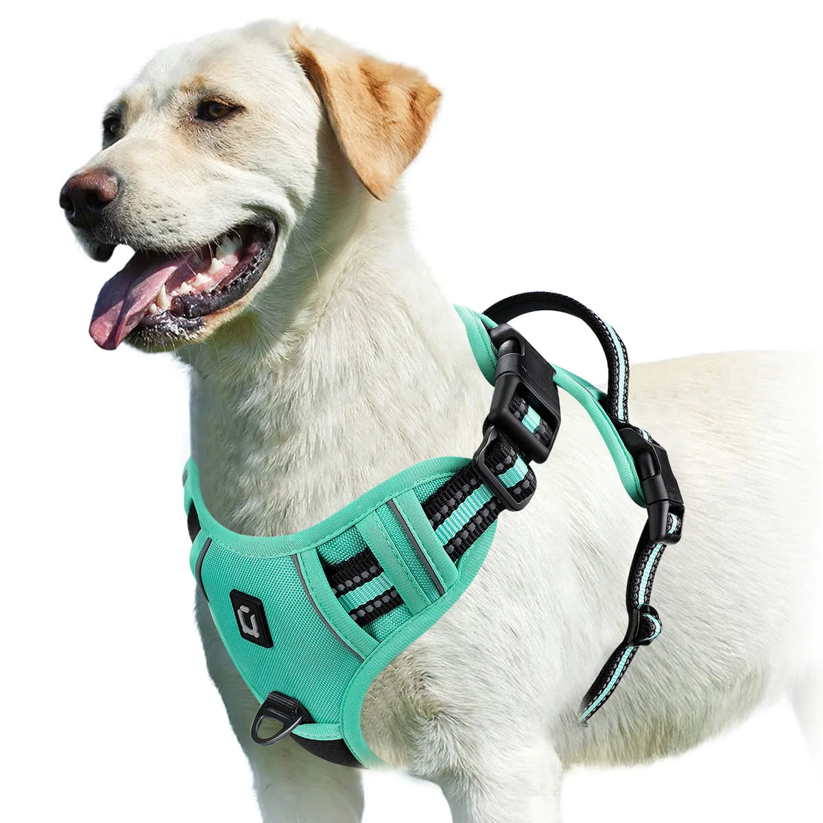 No-Pull Dog Vest Harness – Padded & Adjustable | PuppyPaw™