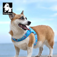 Step-In Dog Harness – Cooling Air-Mesh | PuppyPaw™