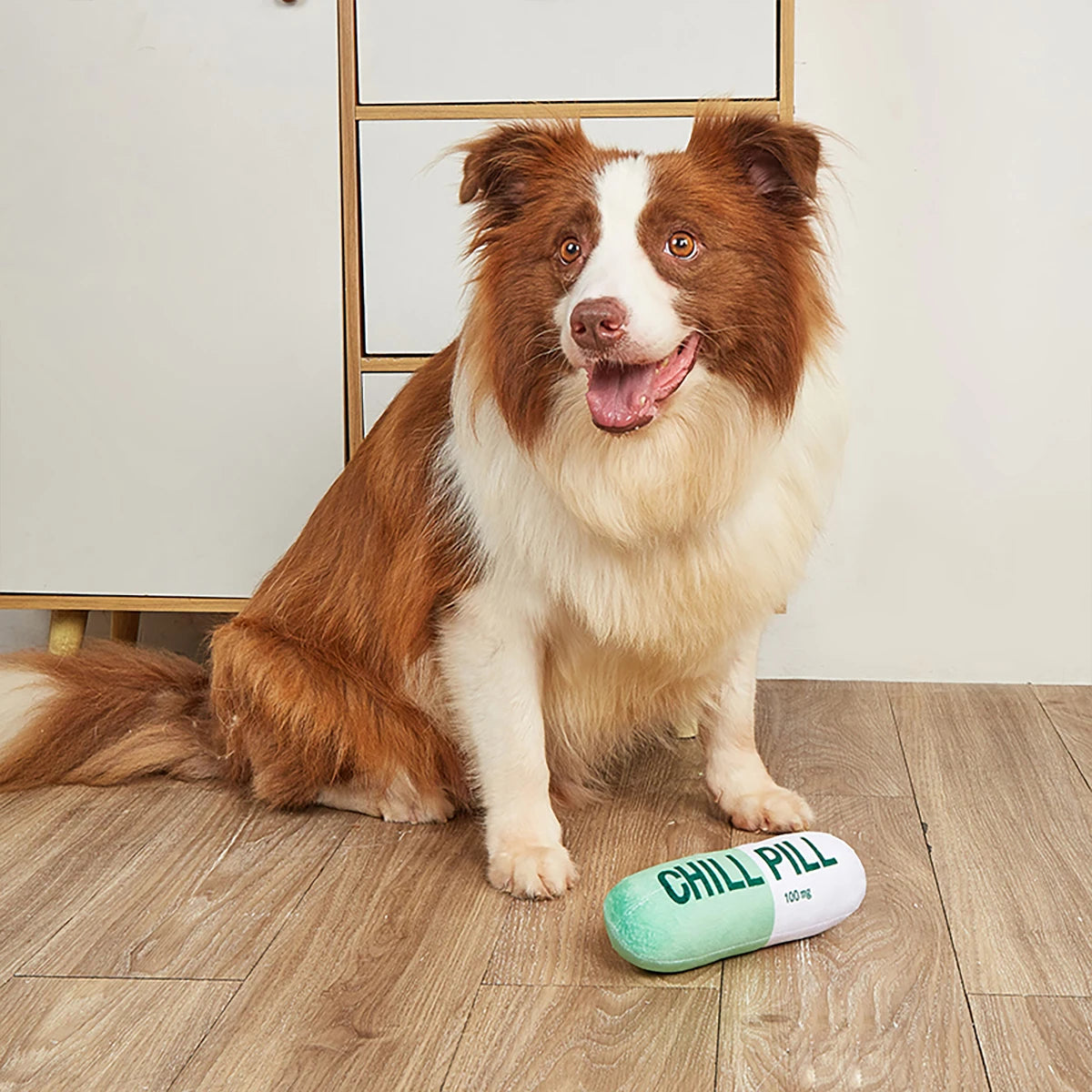 Squeaky Plush Pill Dog Toy – Bite-Resistant Chew | PuppyPaw™
