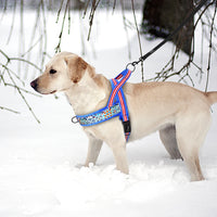 Padded Dog Harness Vest – Reflective Winter Warm | PuppyPaw™