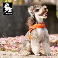 Step-In Dog Harness – Cooling Air-Mesh | PuppyPaw™