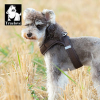 Step-In Dog Harness – Cooling Air-Mesh | PuppyPaw™