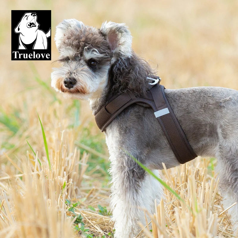 Step-In Dog Harness – Cooling Air-Mesh | PuppyPaw™