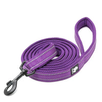 Reflective Padded Dog Leash – 3M Mesh Handle | PuppyPaw™