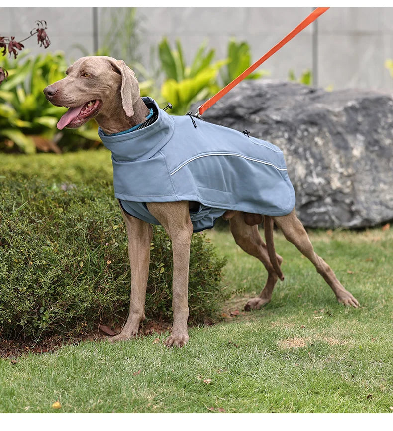 Waterproof Dog Jacket – Soft-Shell Fleece Lined | PuppyPaw™
