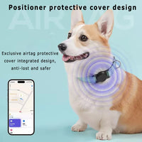 Reflective Dog Collar – Built-In AirTag Slot | PuppyPaw™