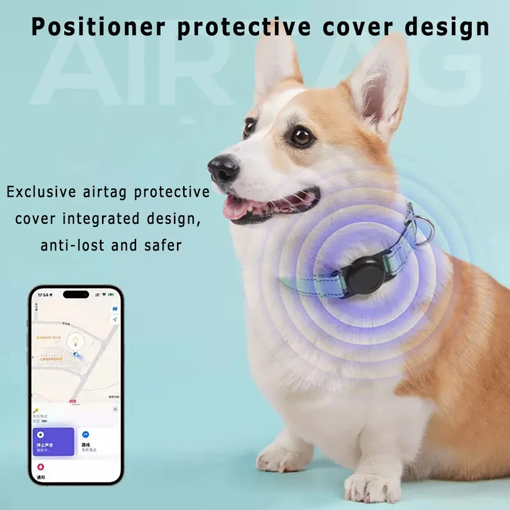 Reflective Dog Collar – Built-In AirTag Slot | PuppyPaw™
