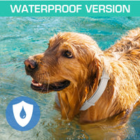 Anti-Flea & Tick Dog & Cat Collar – Silicone | PuppyPaw™