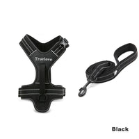 No-Pull Dog Harness & Leash Set – Padded Reflective | PuppyPaw™