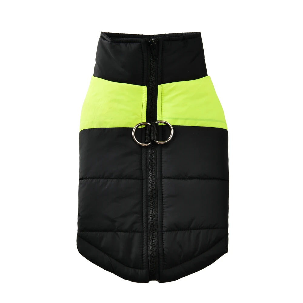 Windproof Waterproof Dog Jacket – D-Ring | PuppyPaw™