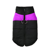 Windproof Waterproof Dog Jacket – D-Ring | PuppyPaw™