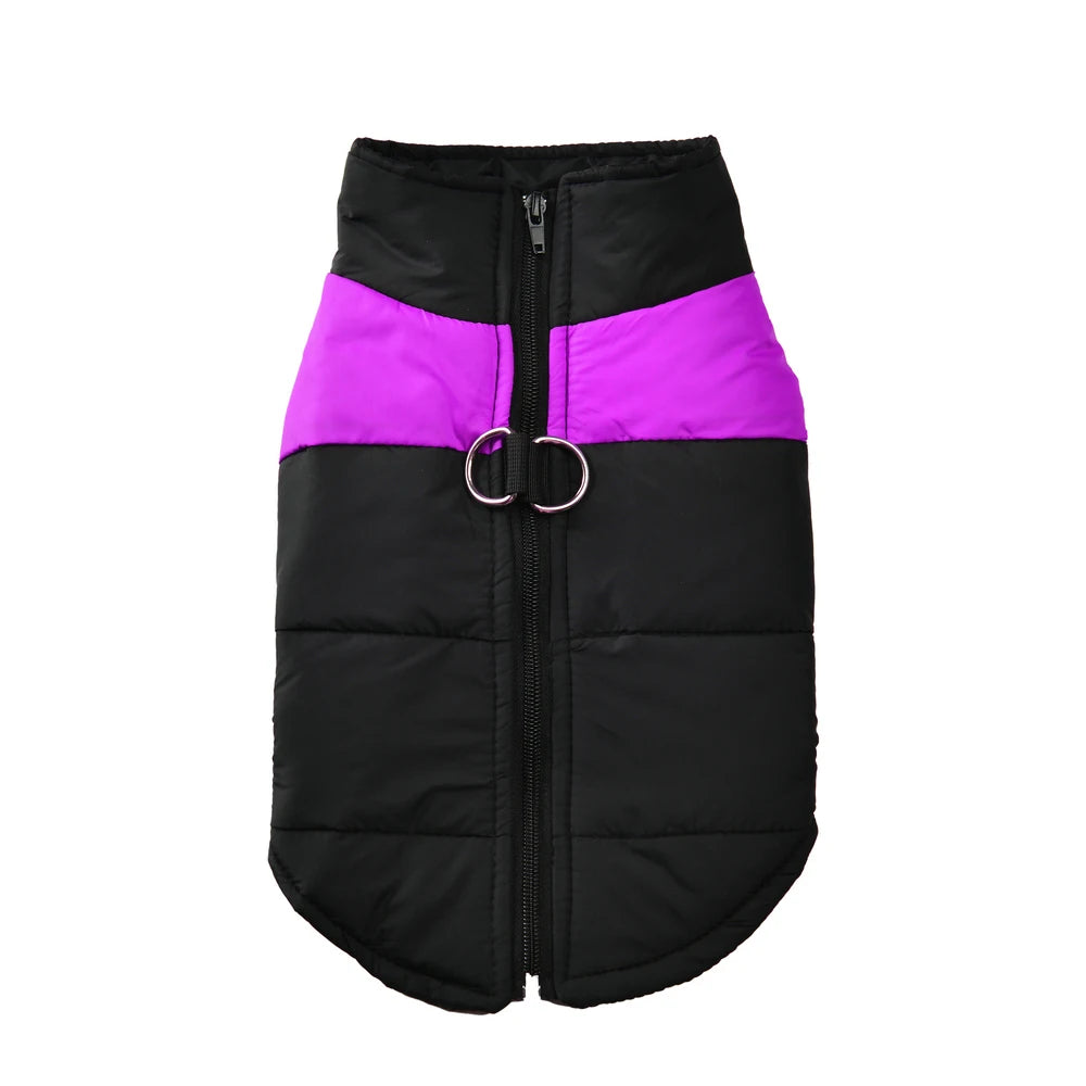 Windproof Waterproof Dog Jacket – D-Ring | PuppyPaw™