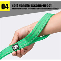 Reflective Padded Dog Leash – 3M Mesh Handle | PuppyPaw™