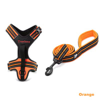 No-Pull Dog Harness & Leash Set – Padded Reflective | PuppyPaw™
