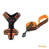 No-Pull Dog Harness & Leash Set – Padded Reflective | PuppyPaw™