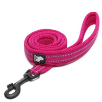 Reflective Padded Dog Leash – 3M Mesh Handle | PuppyPaw™