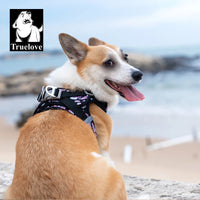 Step-In Dog Harness – Cooling Air-Mesh | PuppyPaw™