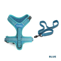 No-Pull Dog Harness & Leash Set – Padded Reflective | PuppyPaw™