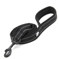 Reflective Padded Dog Leash – 3M Mesh Handle | PuppyPaw™