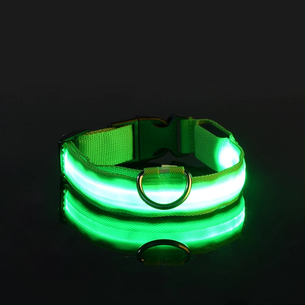 LED Glow-in-the-Dark Dog Collar & Leash | PuppyPaw™