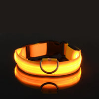 LED Glow-in-the-Dark Dog Collar & Leash | PuppyPaw™