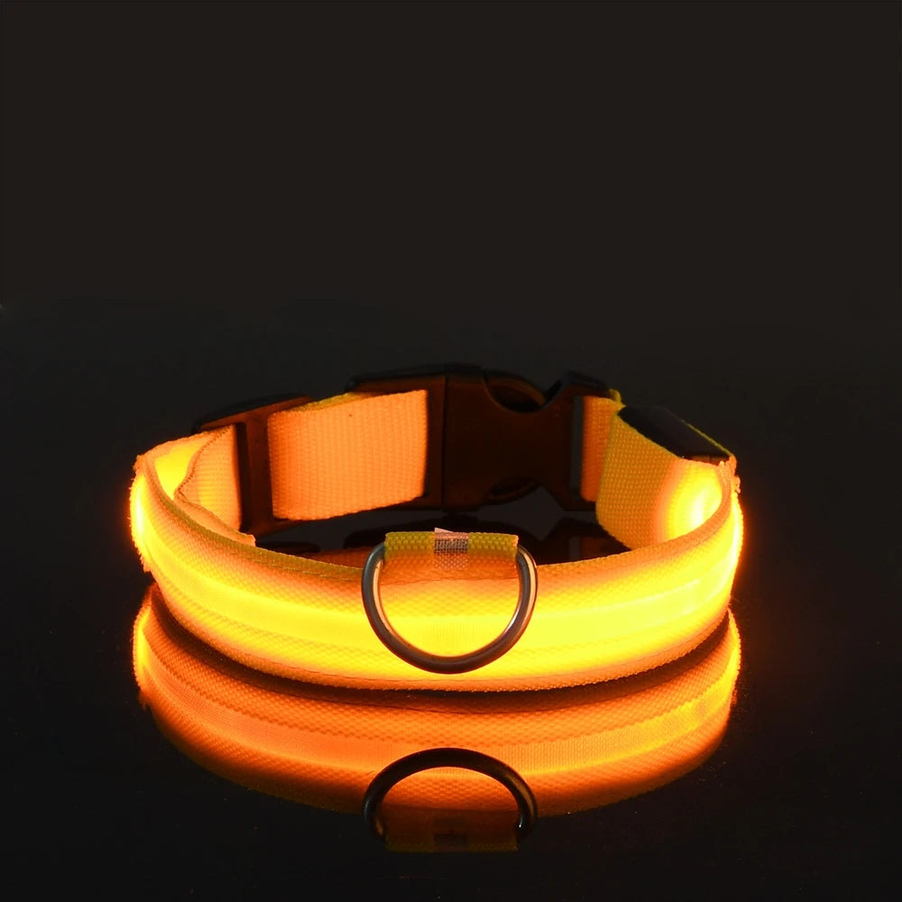 LED Glow-in-the-Dark Dog Collar & Leash | PuppyPaw™