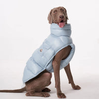 Padded Dog Down Jacket – Windproof High Collar | PuppyPaw™