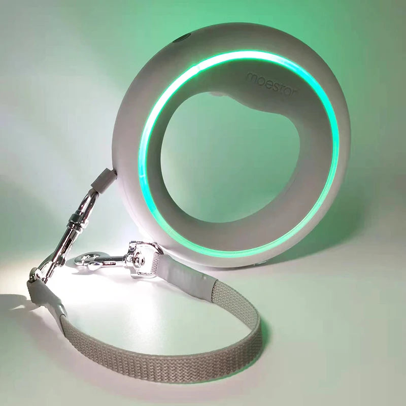 Retractable LED Dog Leash – Rechargeable USB-C | PuppyPaw™