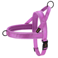 Padded Dog Harness Vest – Reflective Winter Warm | PuppyPaw™